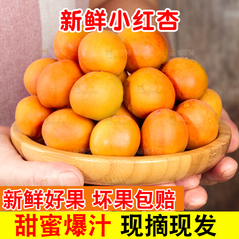 深底上的小红杏