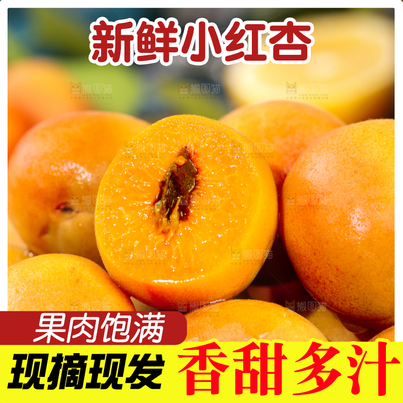 深底上的小红杏