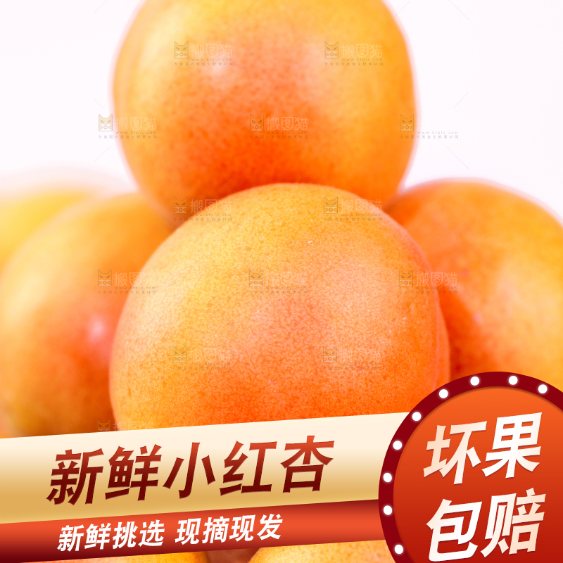 浅底上的小红杏