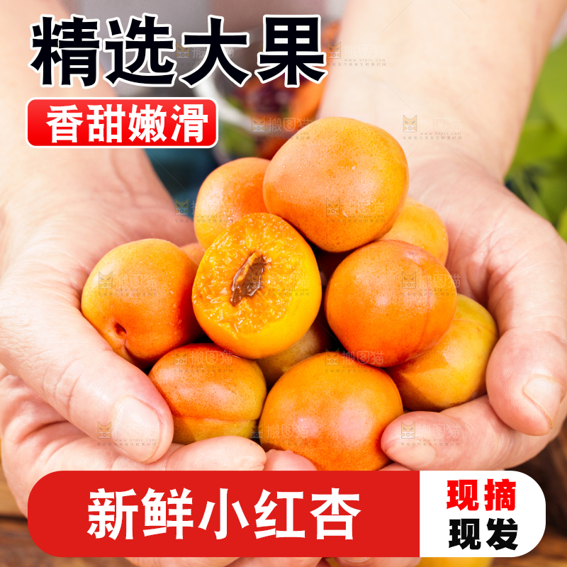 深底上的小红杏
