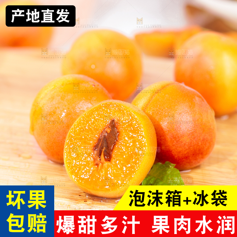 浅底上的小红杏