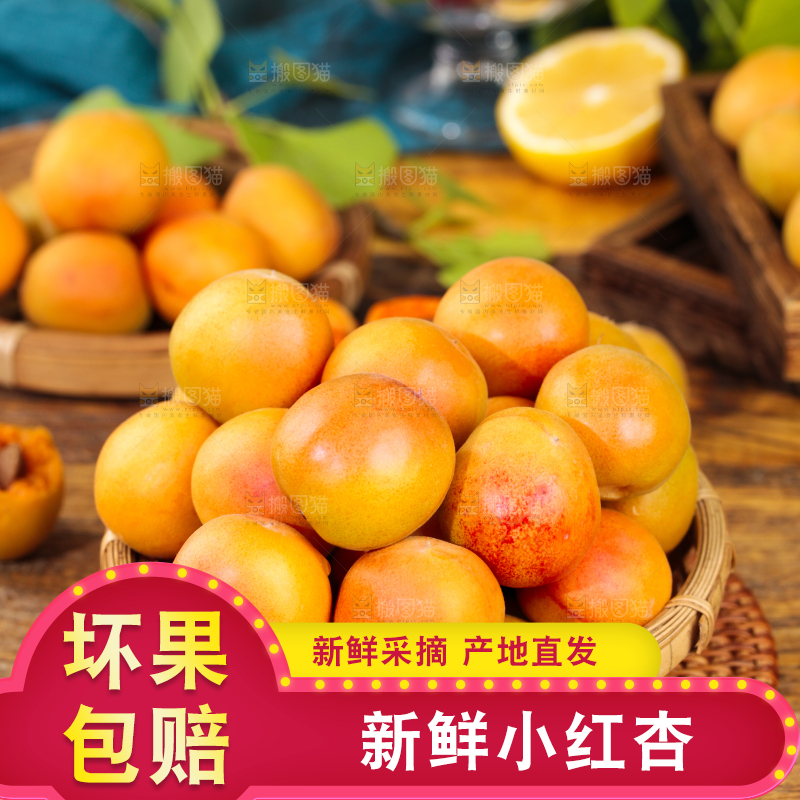 深底上的小红杏