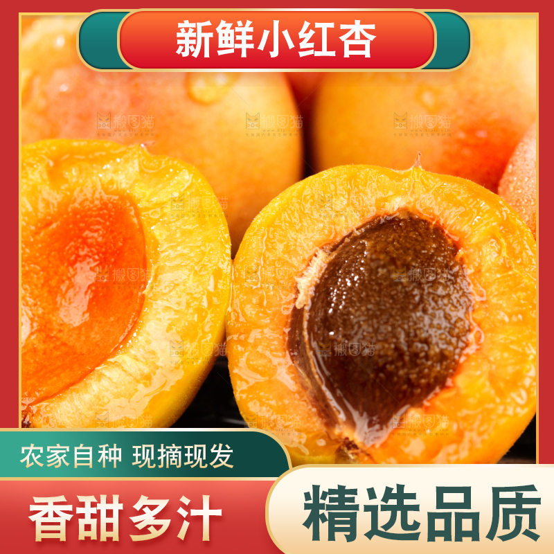 深底上的小红杏