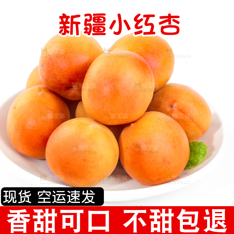 白底上的小红杏