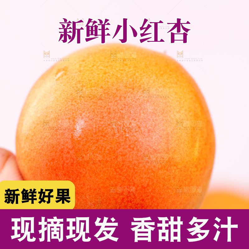 浅底上的小红杏