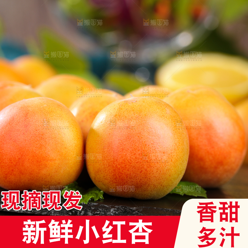 深底上的小红杏
