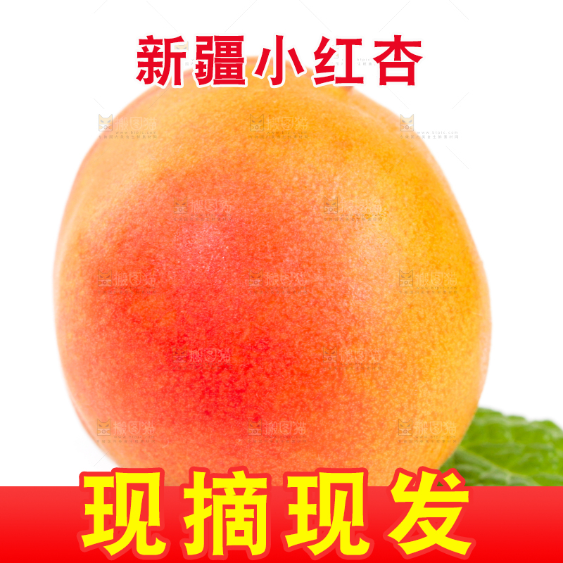 白底上的小红杏