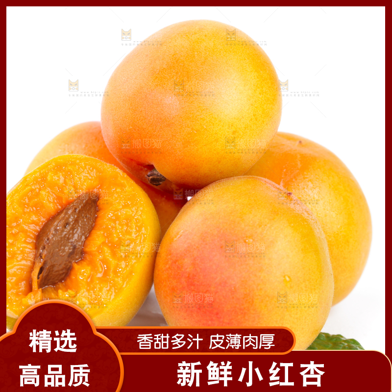 白底上的小红杏