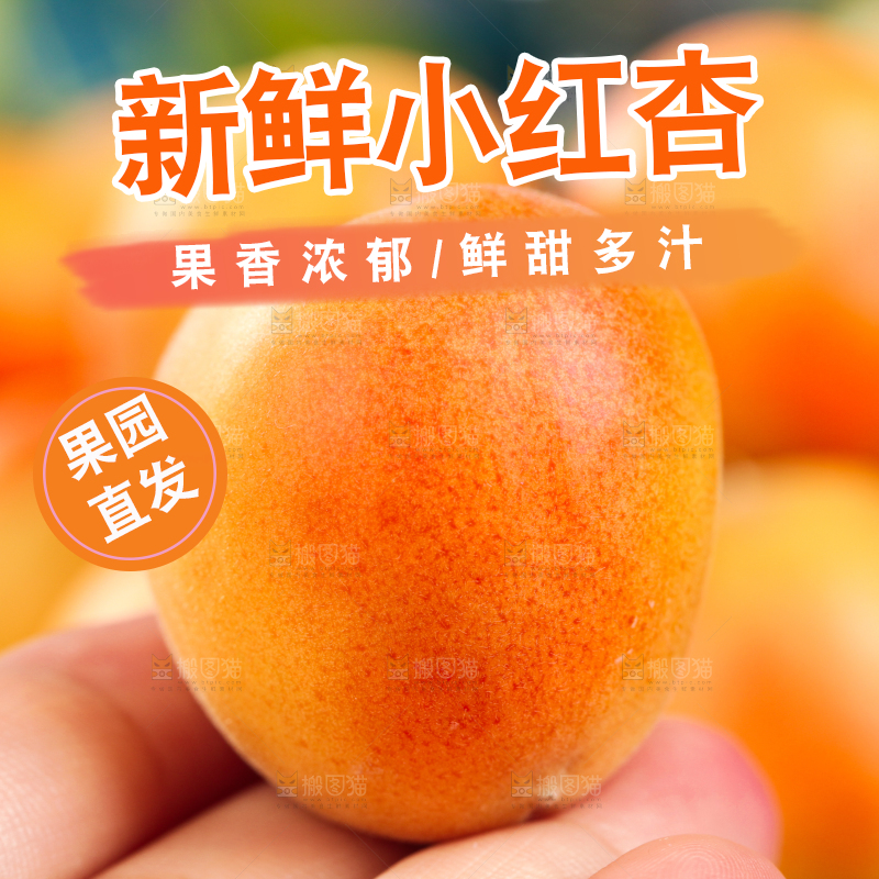 深底上的小红杏