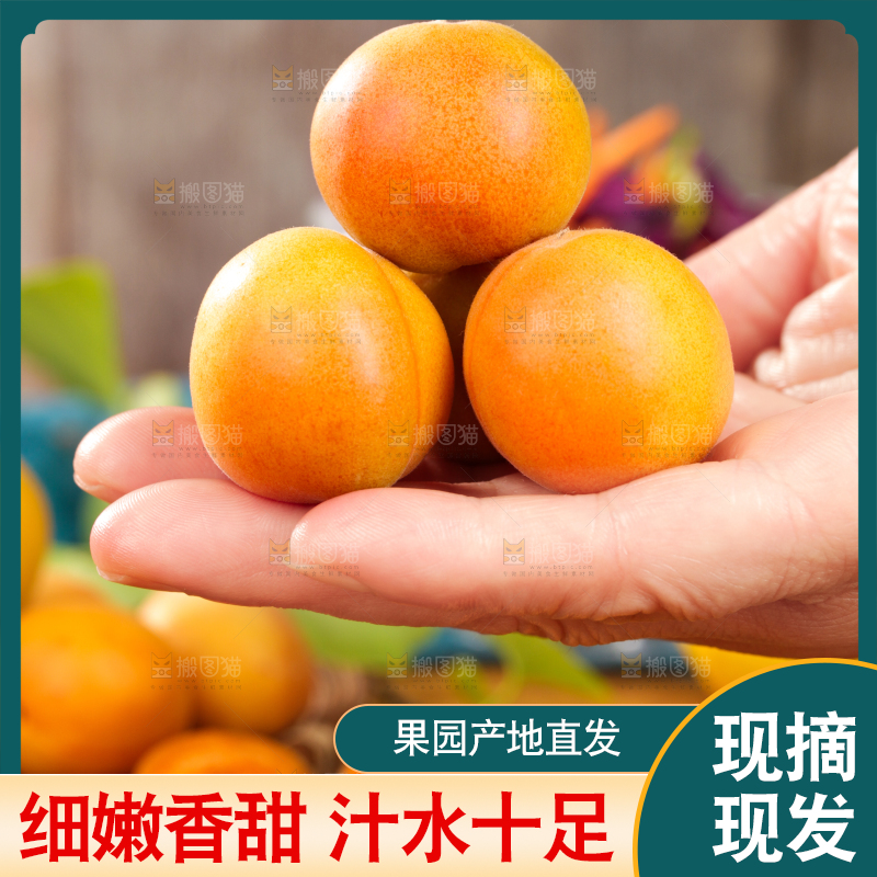 深底上的小红杏