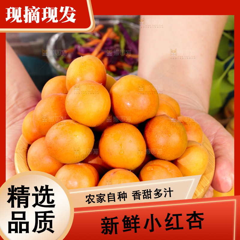 深底上的小红杏