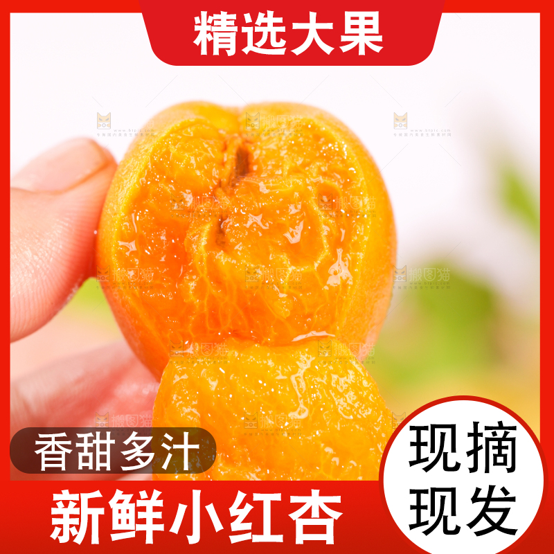 浅底上的小红杏