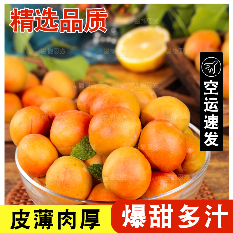 深底上的小红杏