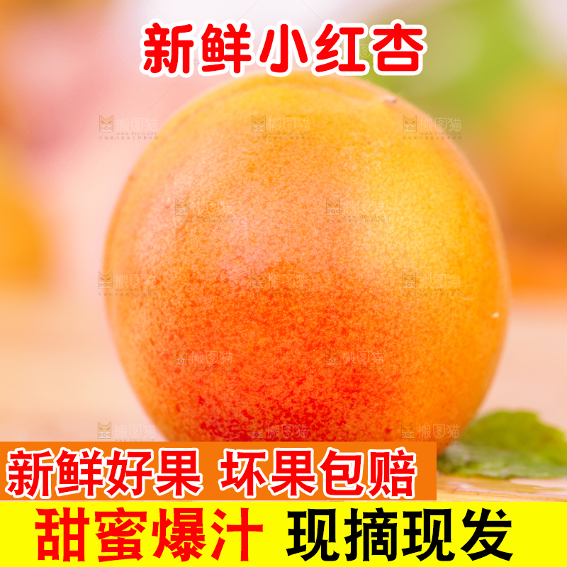 浅底上的小红杏