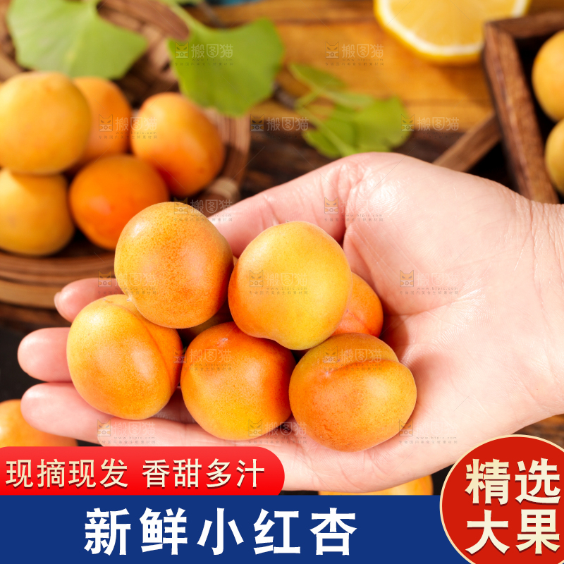 深底上的小红杏
