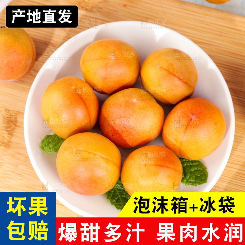 浅底上的小红杏