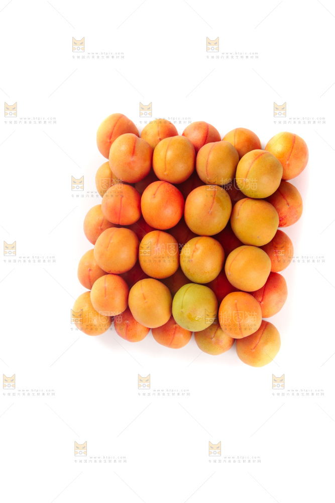 白底上的新疆小红杏