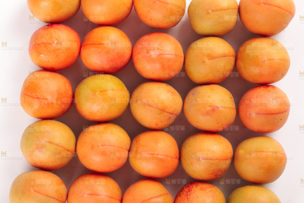 白底上的新疆小红杏