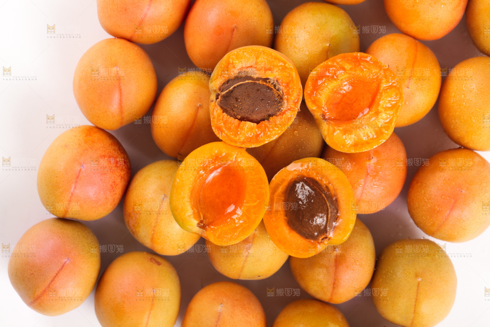 白底上的新疆小红杏