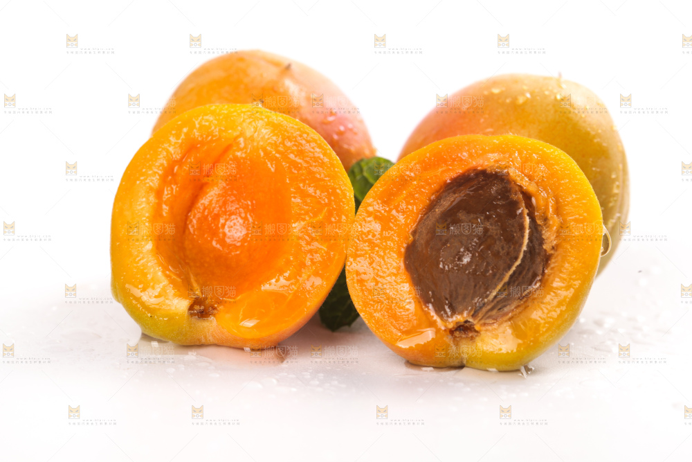 白底上的新疆小红杏