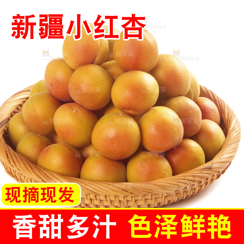 白底上的新疆小红杏