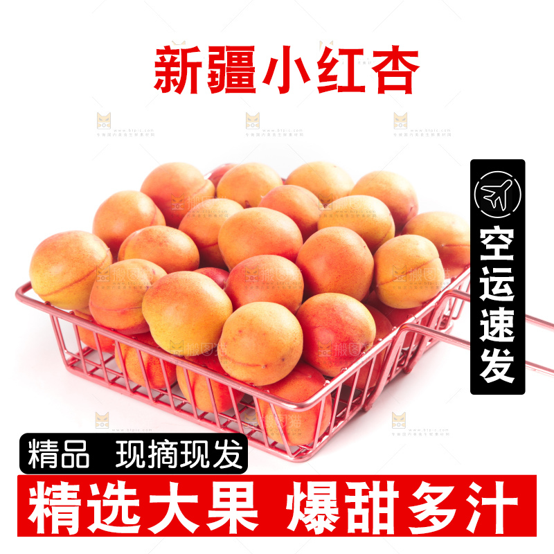 白底上的新疆小红杏