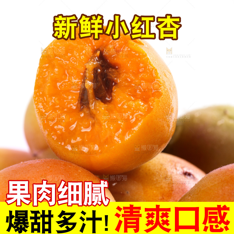 白底上的新疆小红杏