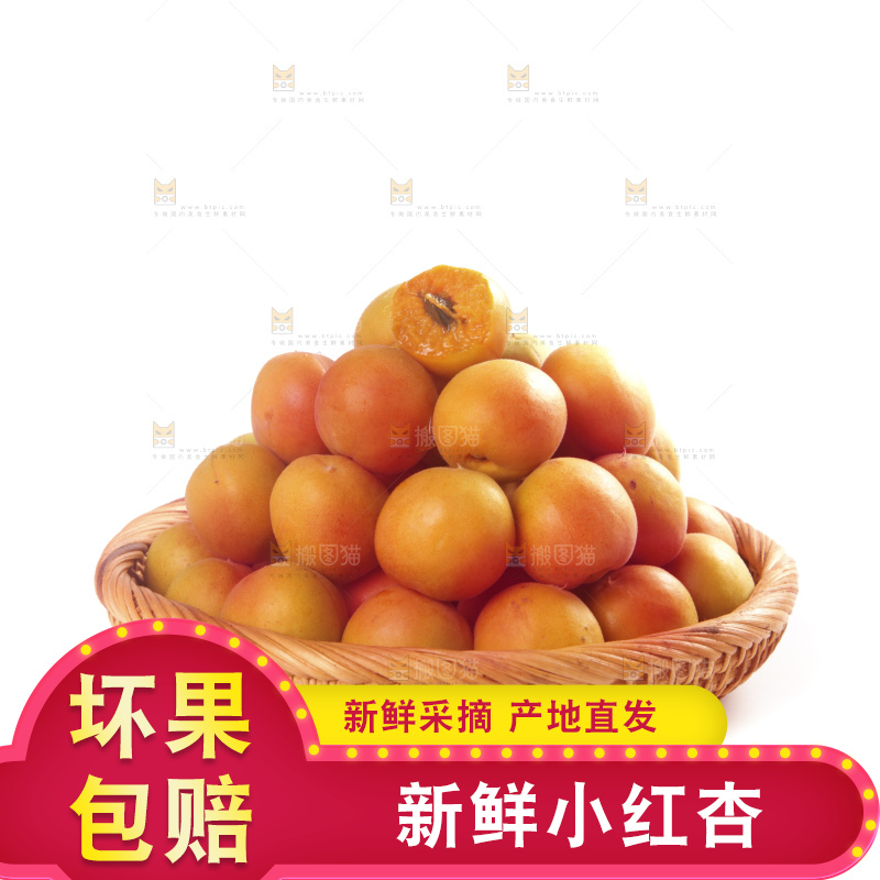 白底上的新疆小红杏