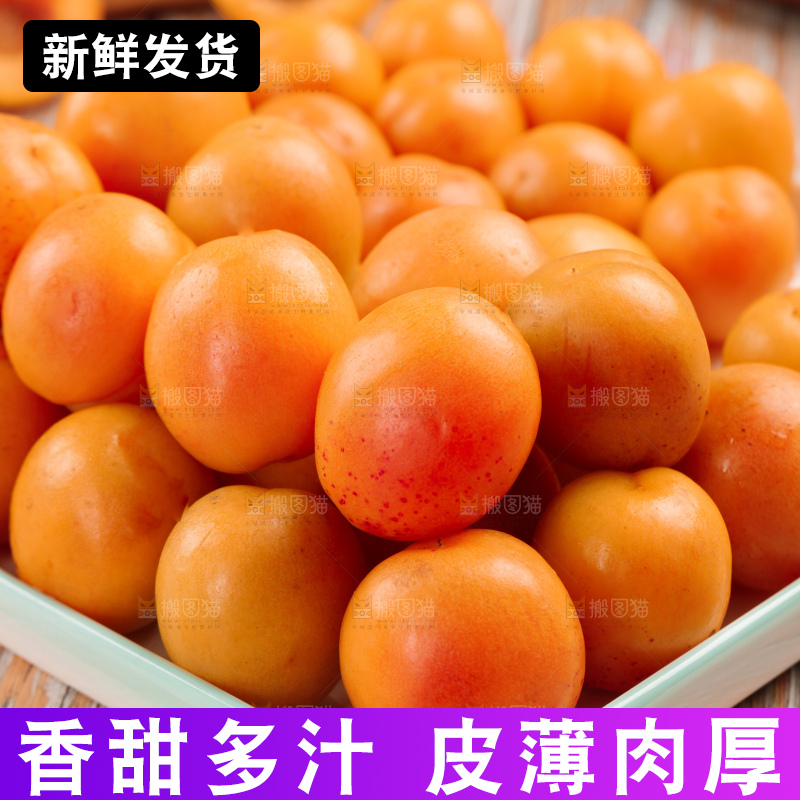 木底上的小红杏