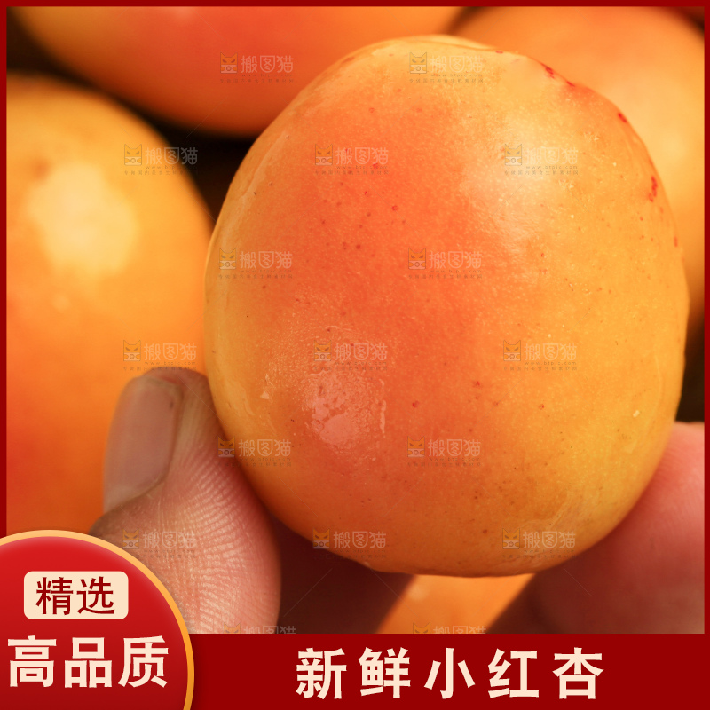 木底上的小红杏