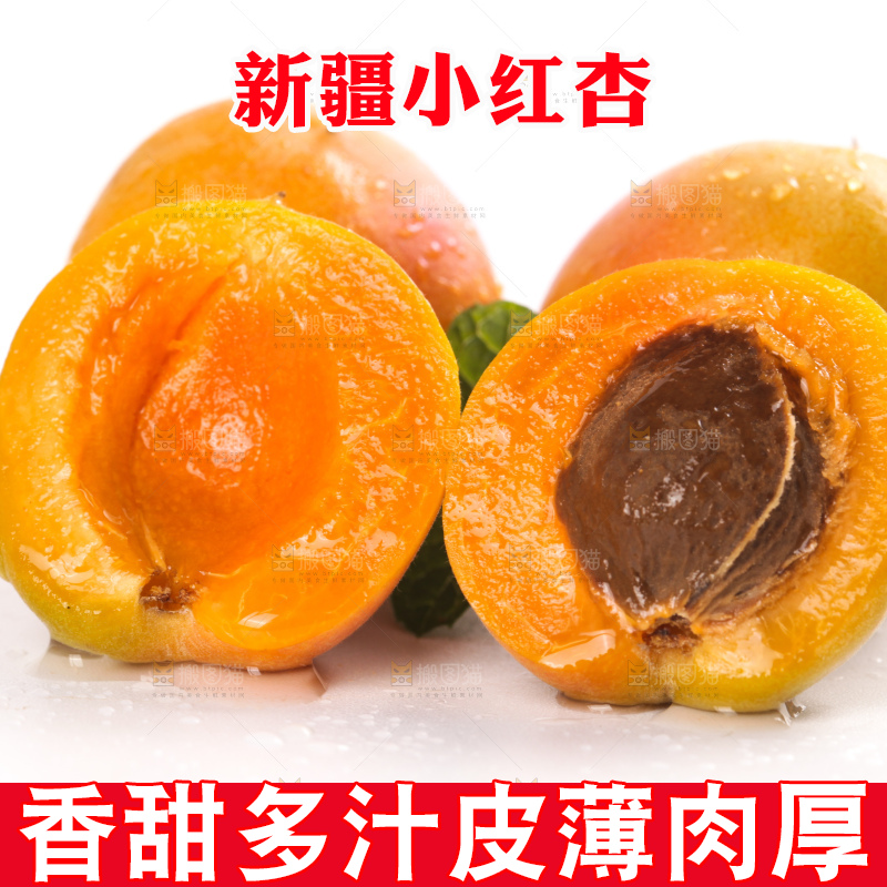 白底上的新疆小红杏