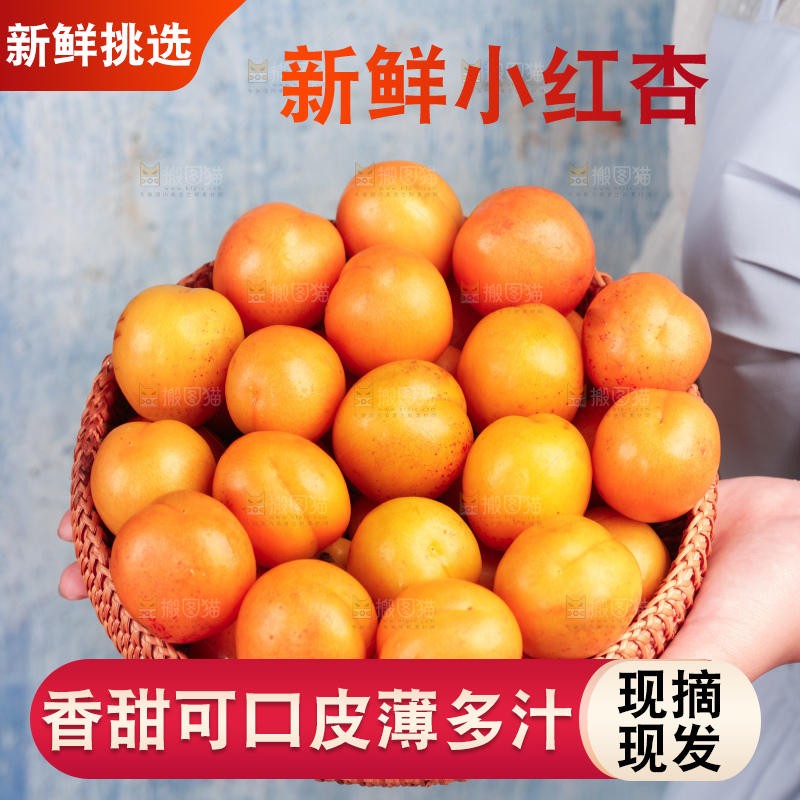 木底上的小红杏