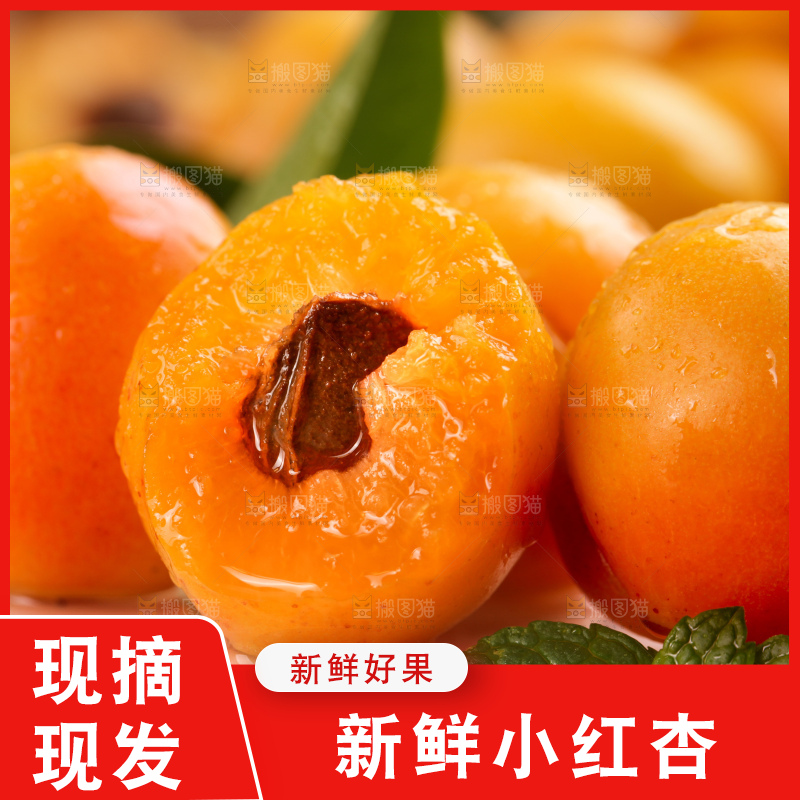 木底上的小红杏