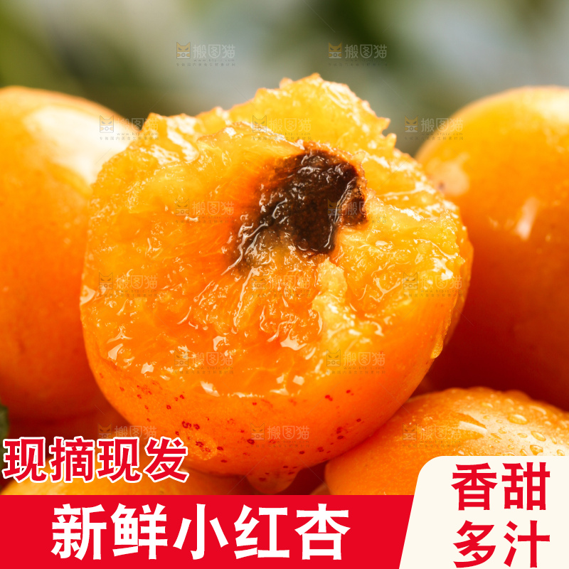 木底上的小红杏