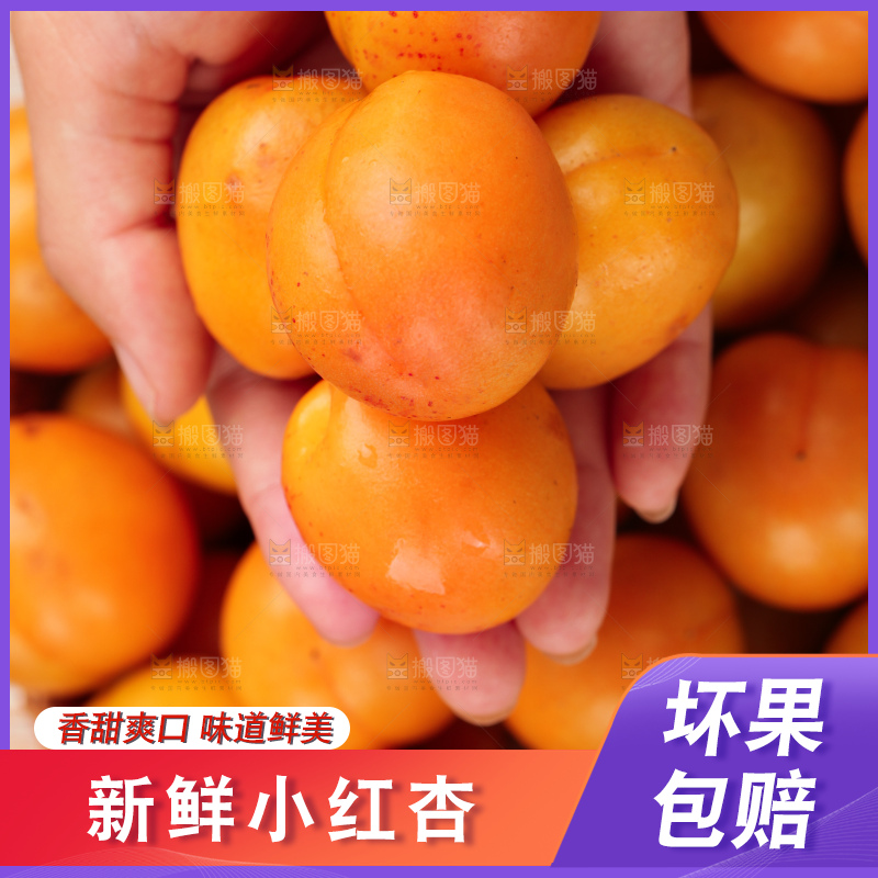 木底上的小红杏