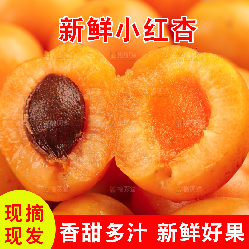 木底上的小红杏