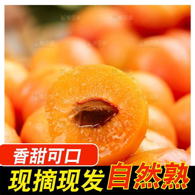 木底上的小红杏