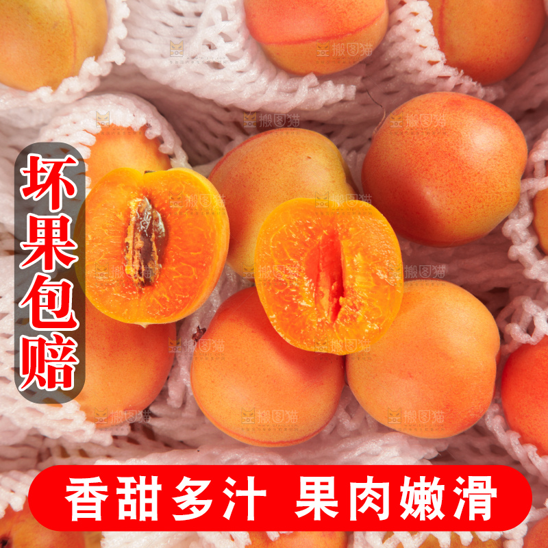 木底上的小红杏