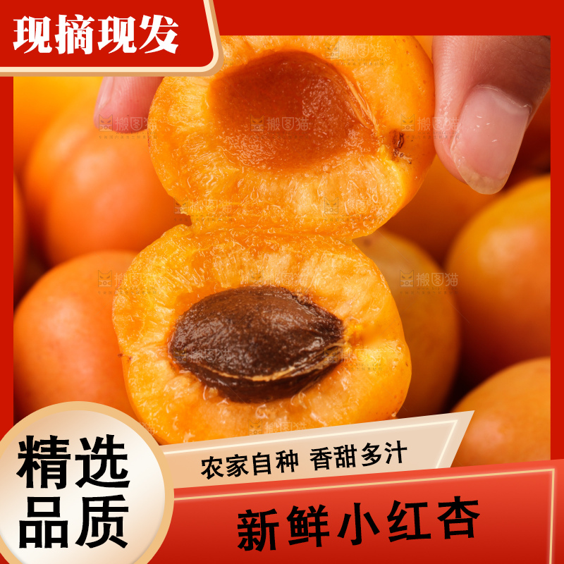 木底上的小红杏