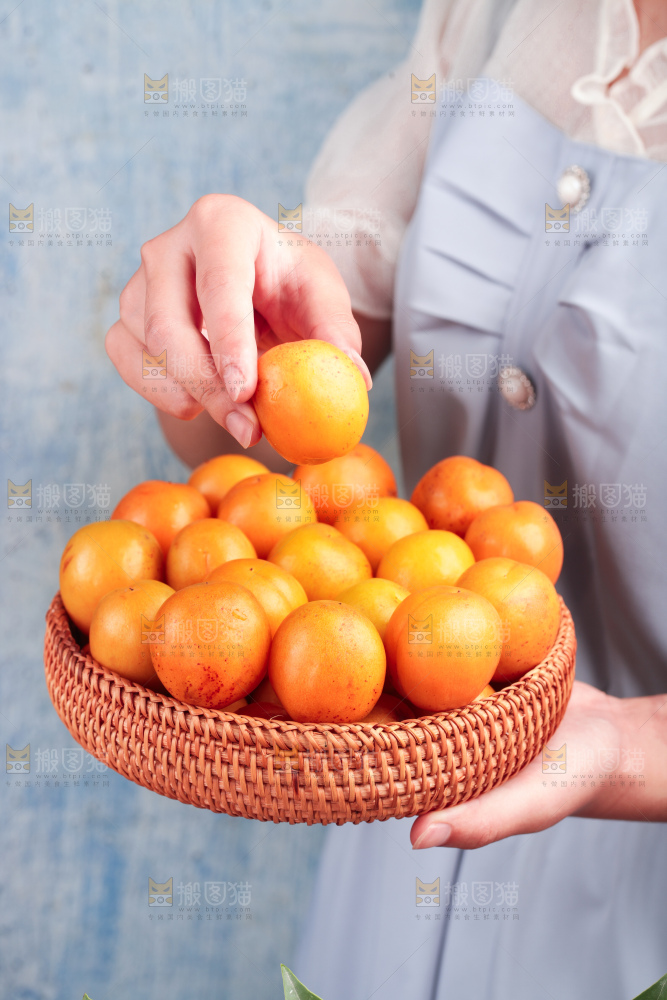 木底上的小红杏