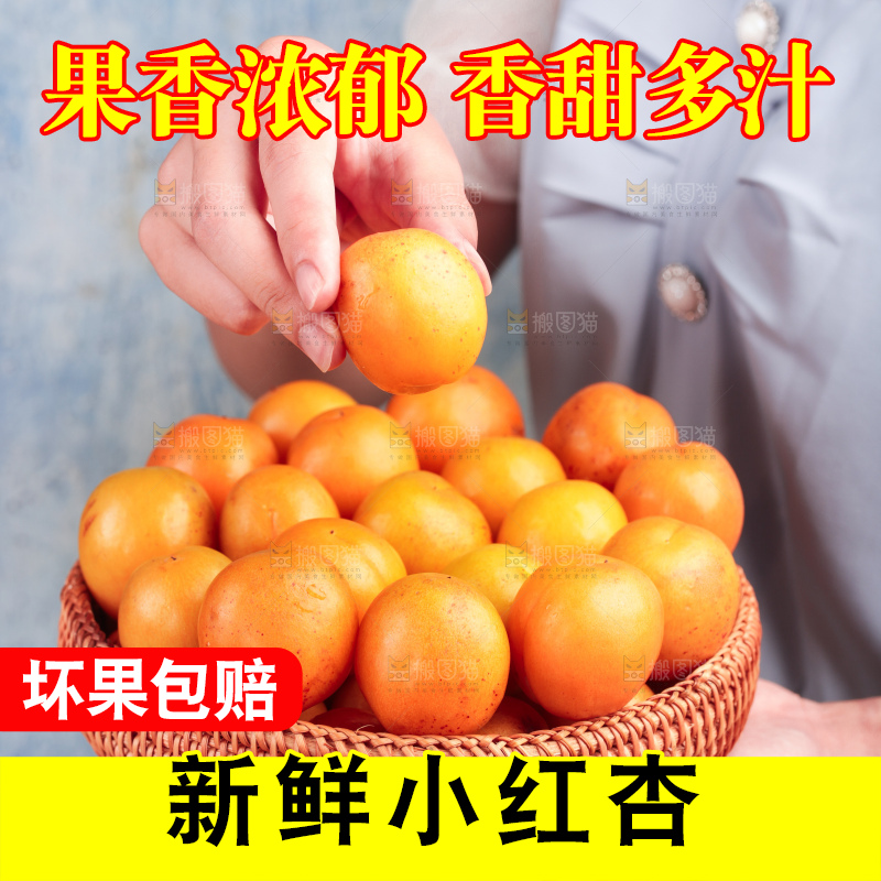 木底上的小红杏