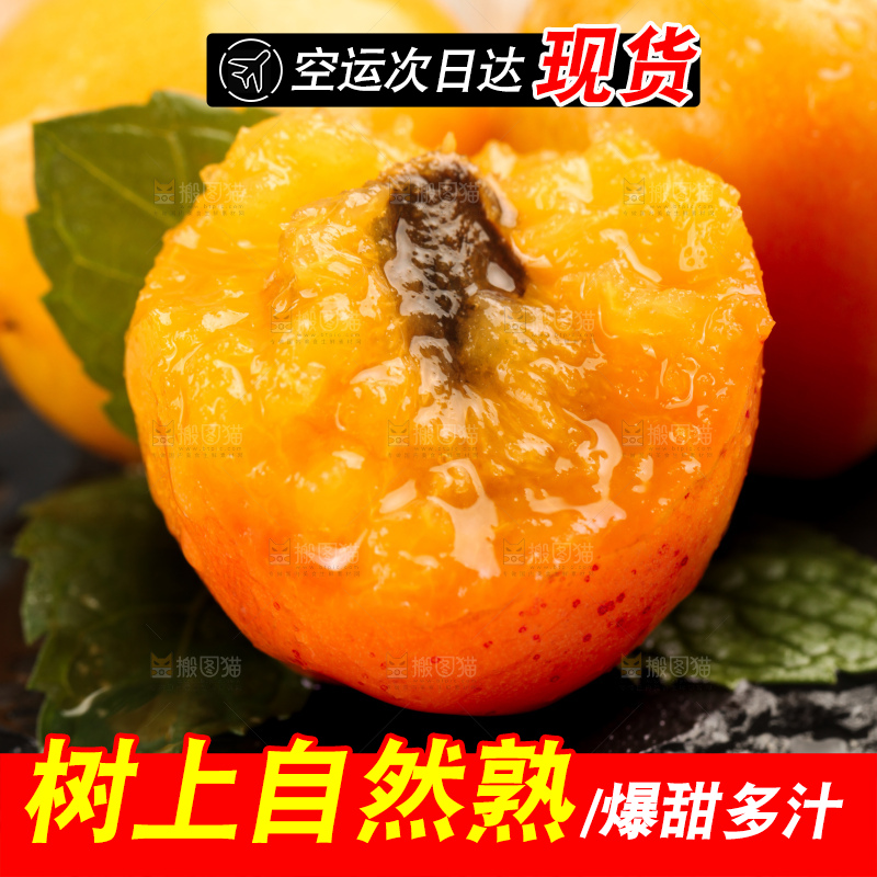 木底上的小红杏