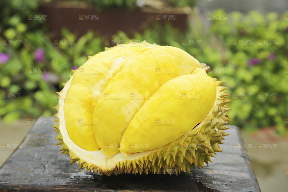榴莲