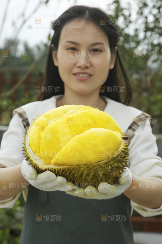 手里拿着金枕榴莲