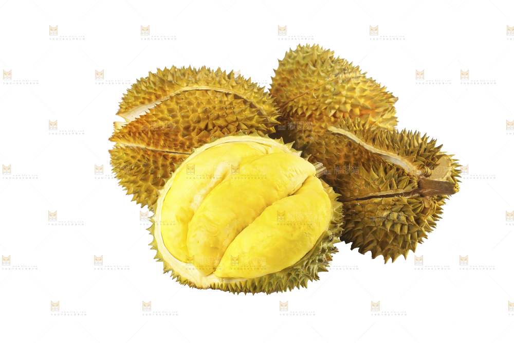 白底上的金枕榴莲