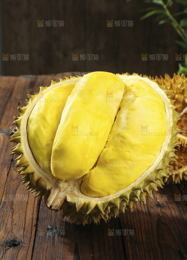 深底上的金枕榴莲