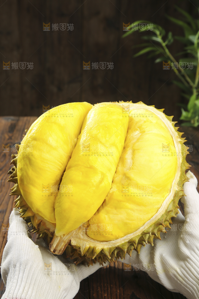 深底上的金枕榴莲
