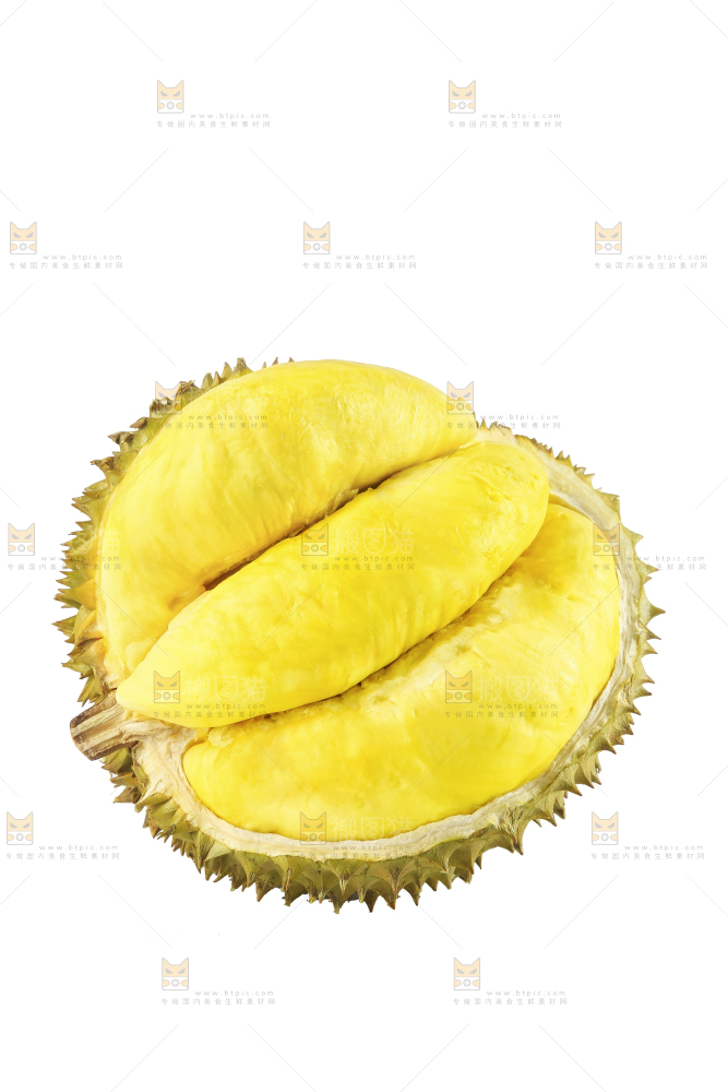 白底上的金枕榴莲