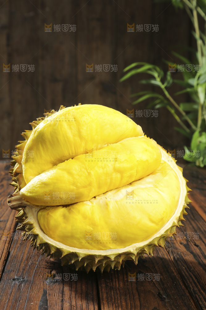 深底上的金枕榴莲