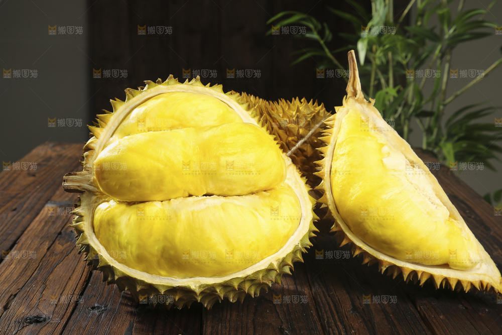 深底上的金枕榴莲
